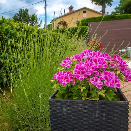 Adrian-2 By Interhome Appartement