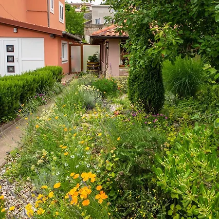 Appartement Adrian-2 By Interhome